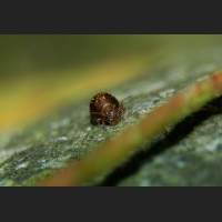 SDIM9367.jpg