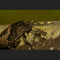 SDIM9497.jpg