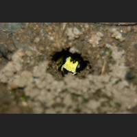 SDIM9534.jpg