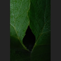 3SDIM9324__.jpg