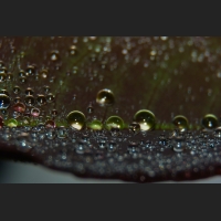 SDIM9114.jpg