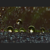 SDIM9114_.jpg