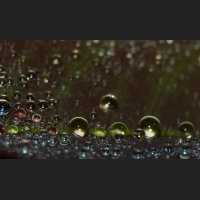 SDIM9114__.jpg