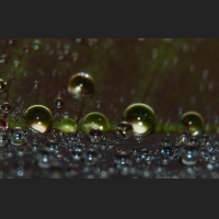 SDIM9114_c.jpg