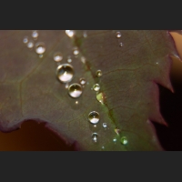 SDIM9123.jpg