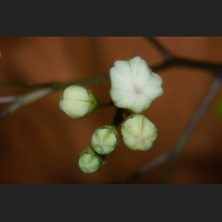 SDIM9402.jpg